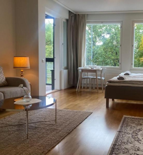 Parvekkeellinen moderni asunto, Turku